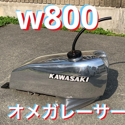 Kawasaki Tanks W800 "Atacama"
