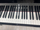 Yamaha Keyboard Electronic Piano 91496 N2 12