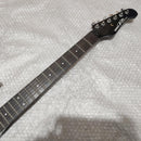 Yamaha Electric Guitar Rgs 112P