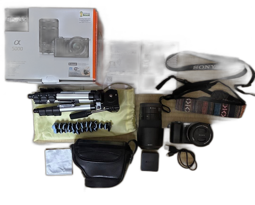 Sony Mirrorless Interchangeable Lips 5000