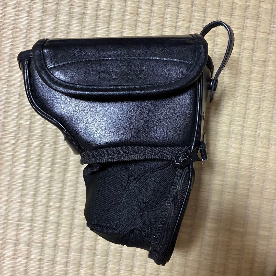 Sony Mirrorless Interchangeable Lips 5000