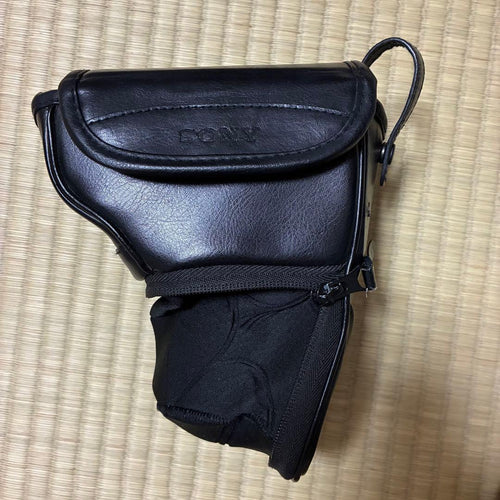 Sony Mirrorless Interchangeable Lips 5000