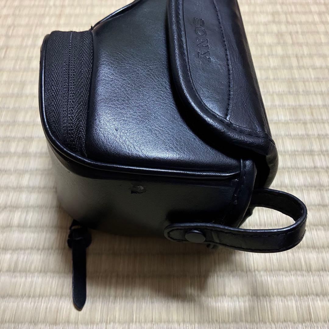 Sony Mirrorless Interchangeable Lips 5000