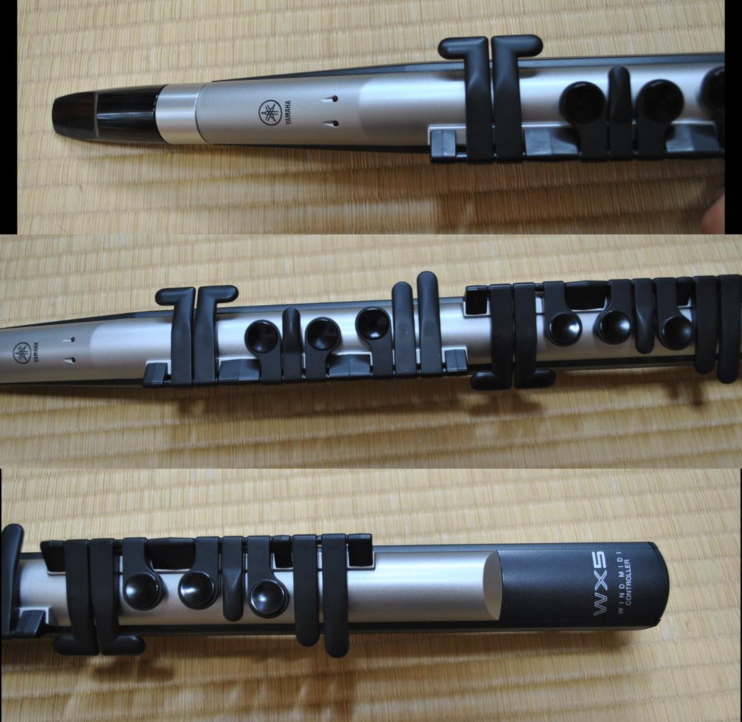 Yamaha Other Vl70-M Wx5