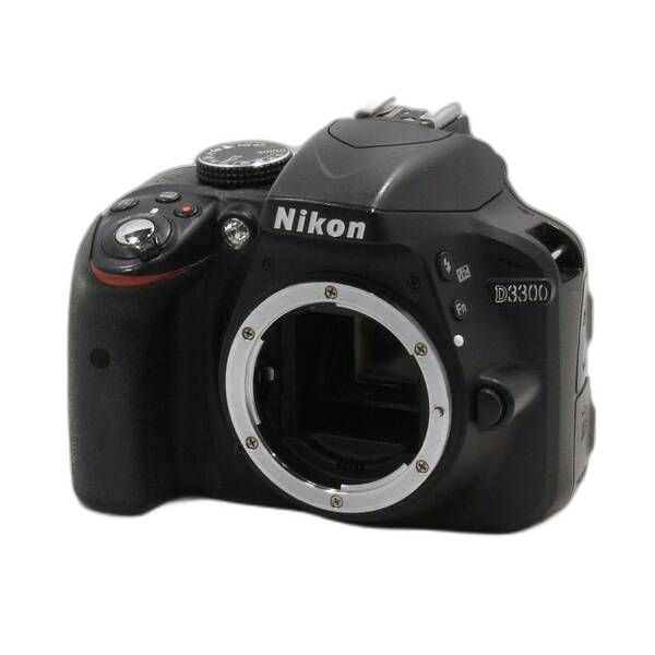 Nikon Digital Slr D3300 269