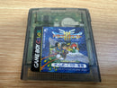 Nintendo Body (Game Boy)