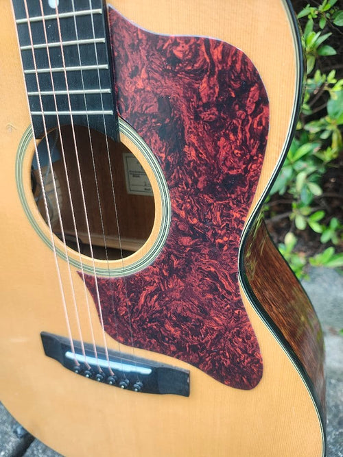 Yamaha Acoustic Guitars Takamine T-P2 Cpx