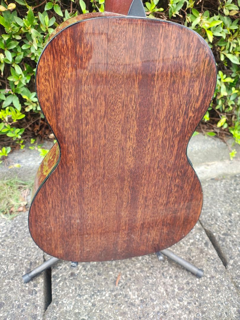 Yamaha Acoustic Guitars Takamine T-P2 Cpx