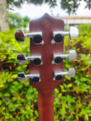 Yamaha Acoustic Guitars Takamine T-P2 Cpx