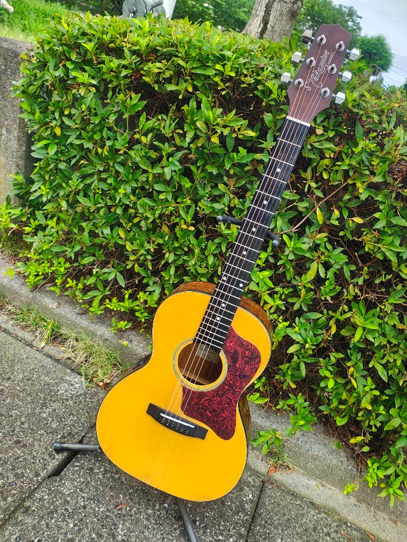 Yamaha Acoustic Guitars Takamine T-P2 Cpx