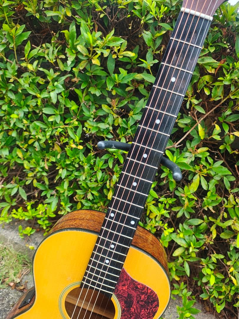 Yamaha Acoustic Guitars Takamine T-P2 Cpx