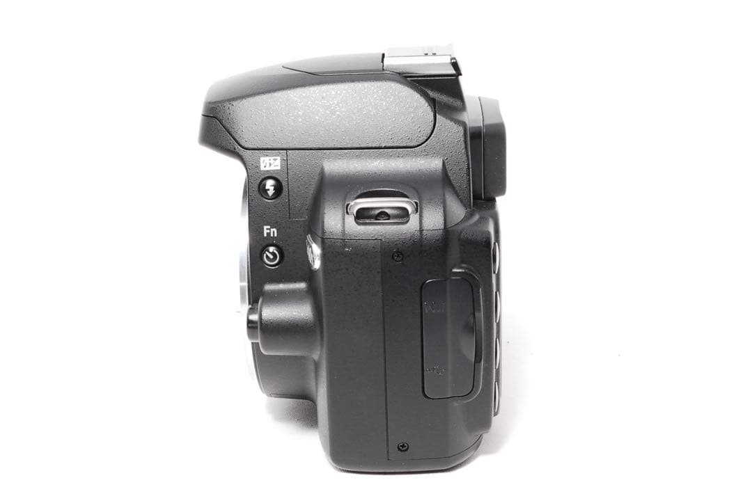 Nikon Digital Slrs D40X