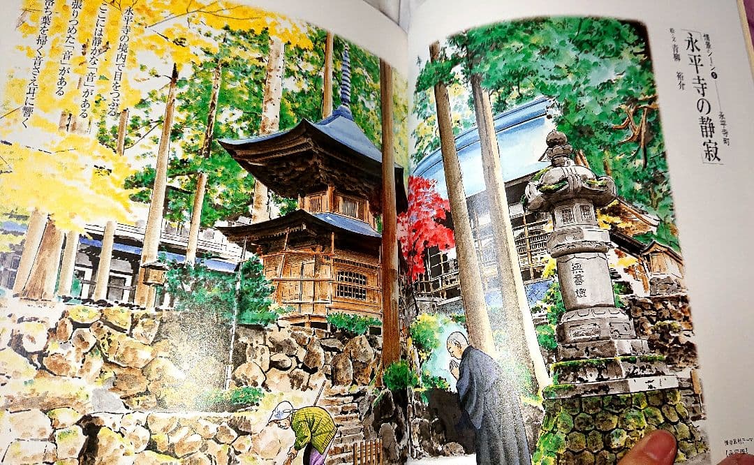Illustration Collections
