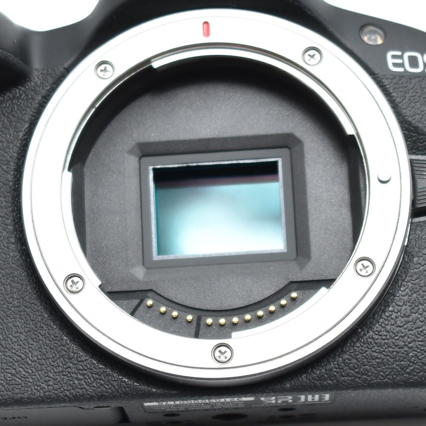 Mirrorless Interchangeable Lips B#12166 Canon Eos R50 (Rf-S18-45) /Aps-C/ 375G