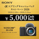 Others Sony( Vlog Vlogcam Aps-C Zv-E10 W M C10C966A
