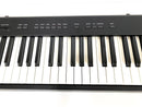 Korg Keyboards Digital Pianos 88 Sp-100