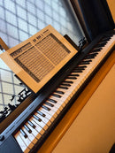 Yamaha Keyboards Digital Pianos