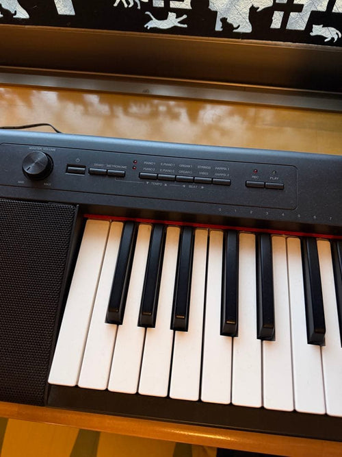 Yamaha Keyboards Digital Pianos