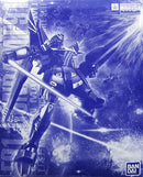 Mg (Master Grade) 1/100 F91 Ver.2.0( [5058083]
