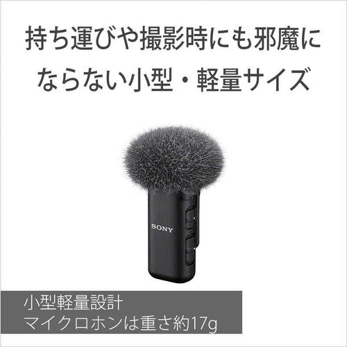 Sony Others Ecm-W3