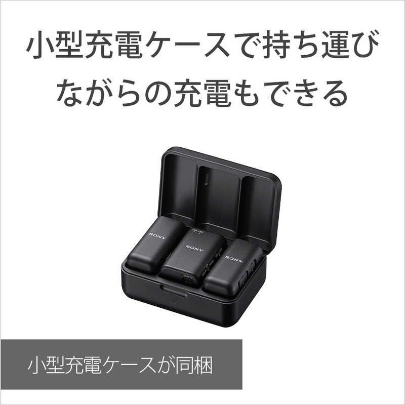 Sony Others Ecm-W3