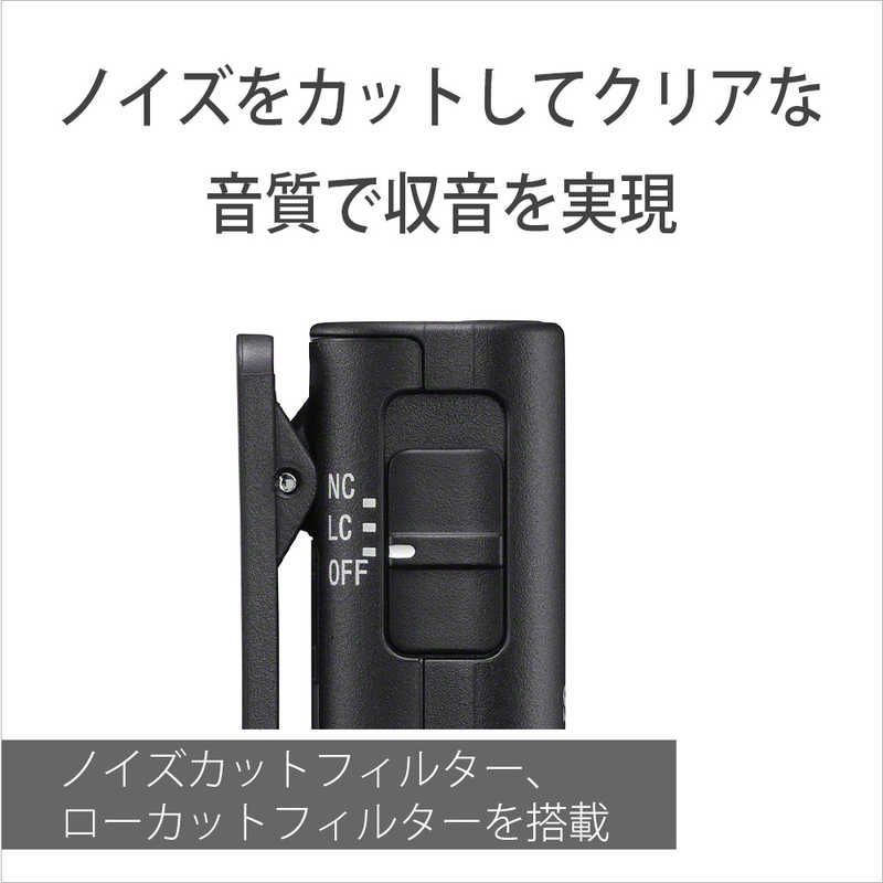 Sony Others Ecm-W3