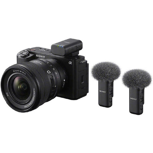 Sony Others Ecm-W3
