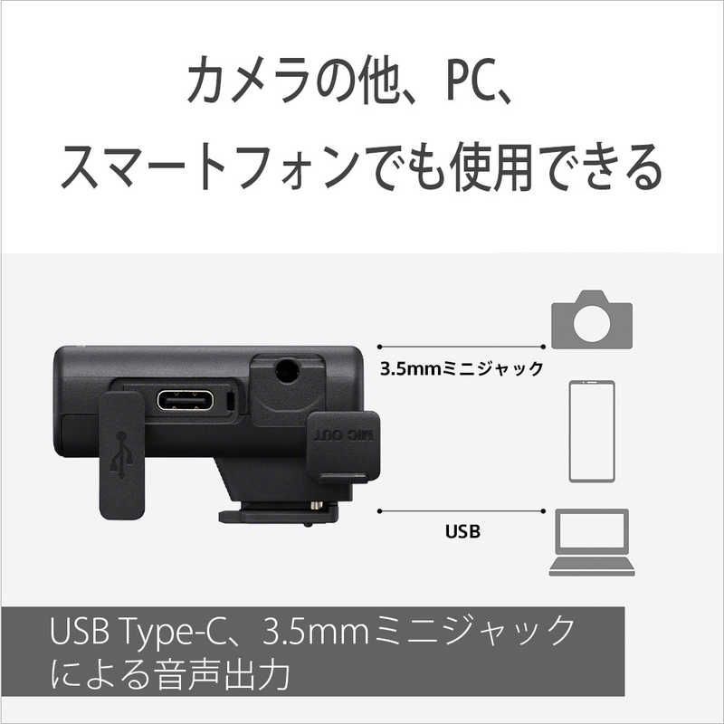 Sony Others Ecm-W3