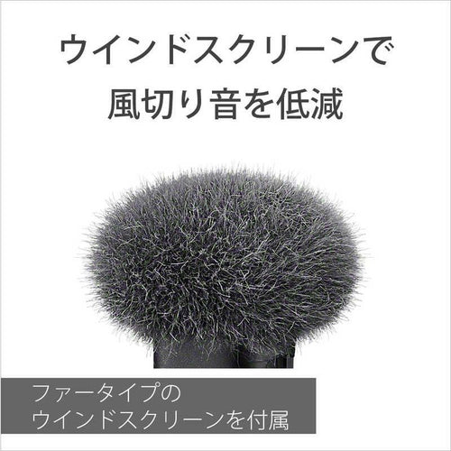 Sony Others Ecm-W3
