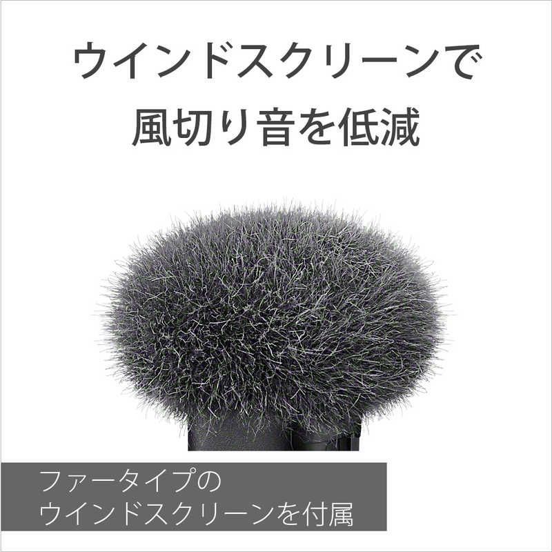Sony Others Ecm-W3