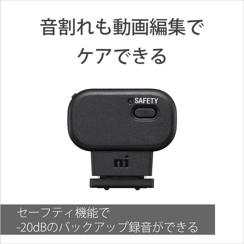Sony Others Ecm-W3