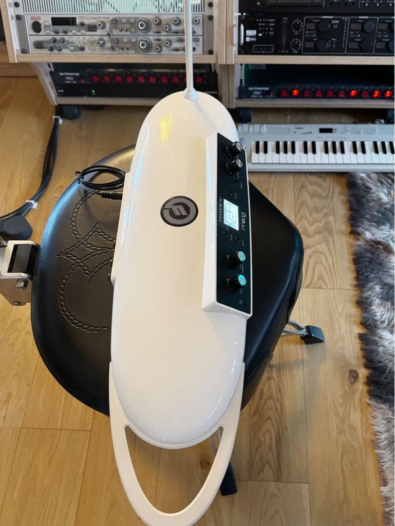 Moog Others Theremini Theremin