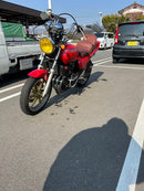 Motorcycle Frames 250