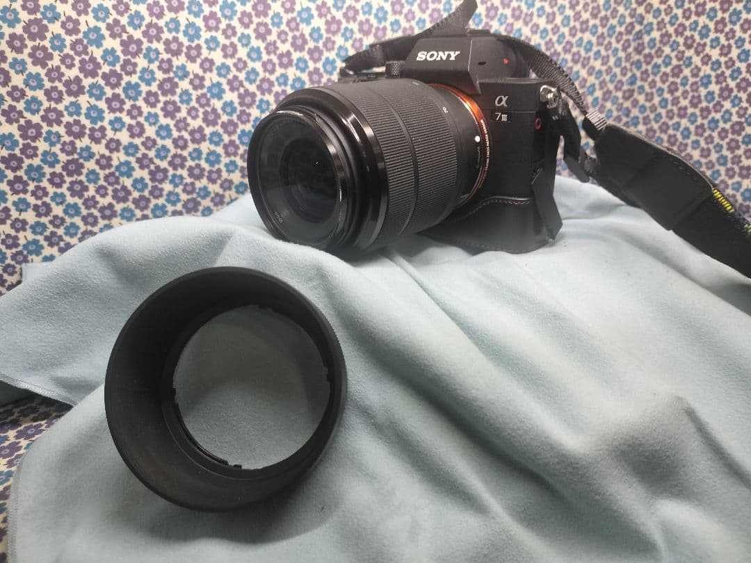 Mirrorless Interchangeable Lens Cameras Sony 7Iii Ilce-7M3