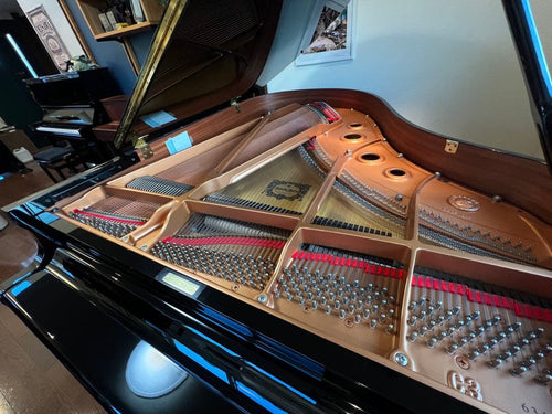 Yamaha Grand Pianos 2012 C3