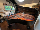 Yamaha Grand Pianos 2012 C3