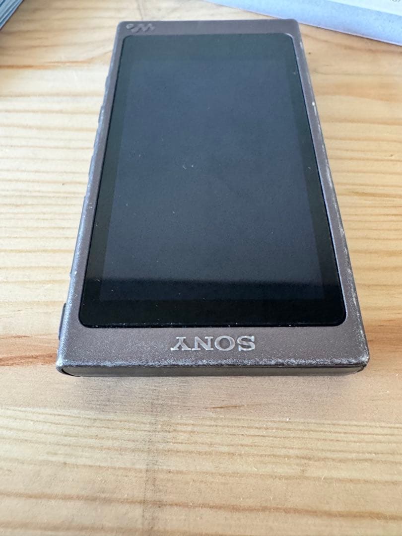 Sony Digital Audio Players Walkman Nw-A47 64Gb