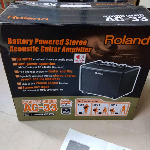 Roland Guitar Amplifier Ac-33