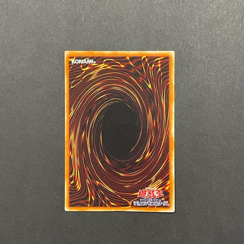 Yu-Gi-Oh! Ocg Duel Monsters (Japanese)