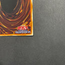 Yu-Gi-Oh! Ocg Duel Monsters (Japanese)