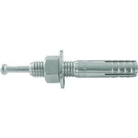 Screw Trusco( C M20X100 2 C2010Bt X 10