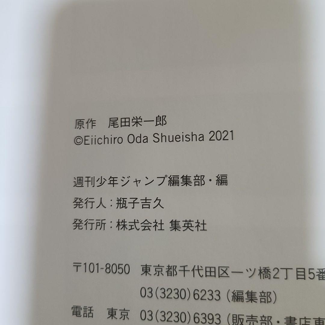 One Piece Devilish Nami 2 +Artbook