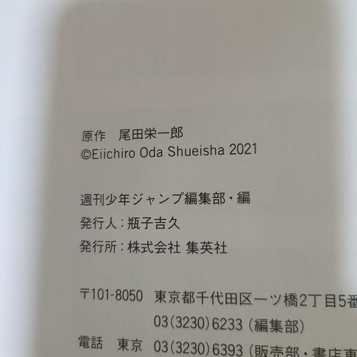 One Piece Devilish Nami 2 +Artbook