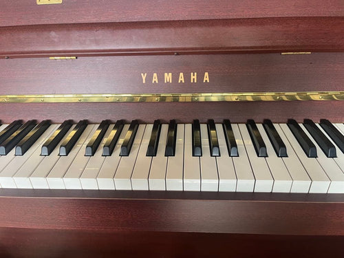 Yamaha Keyboards Digital Pianos Dup-5
