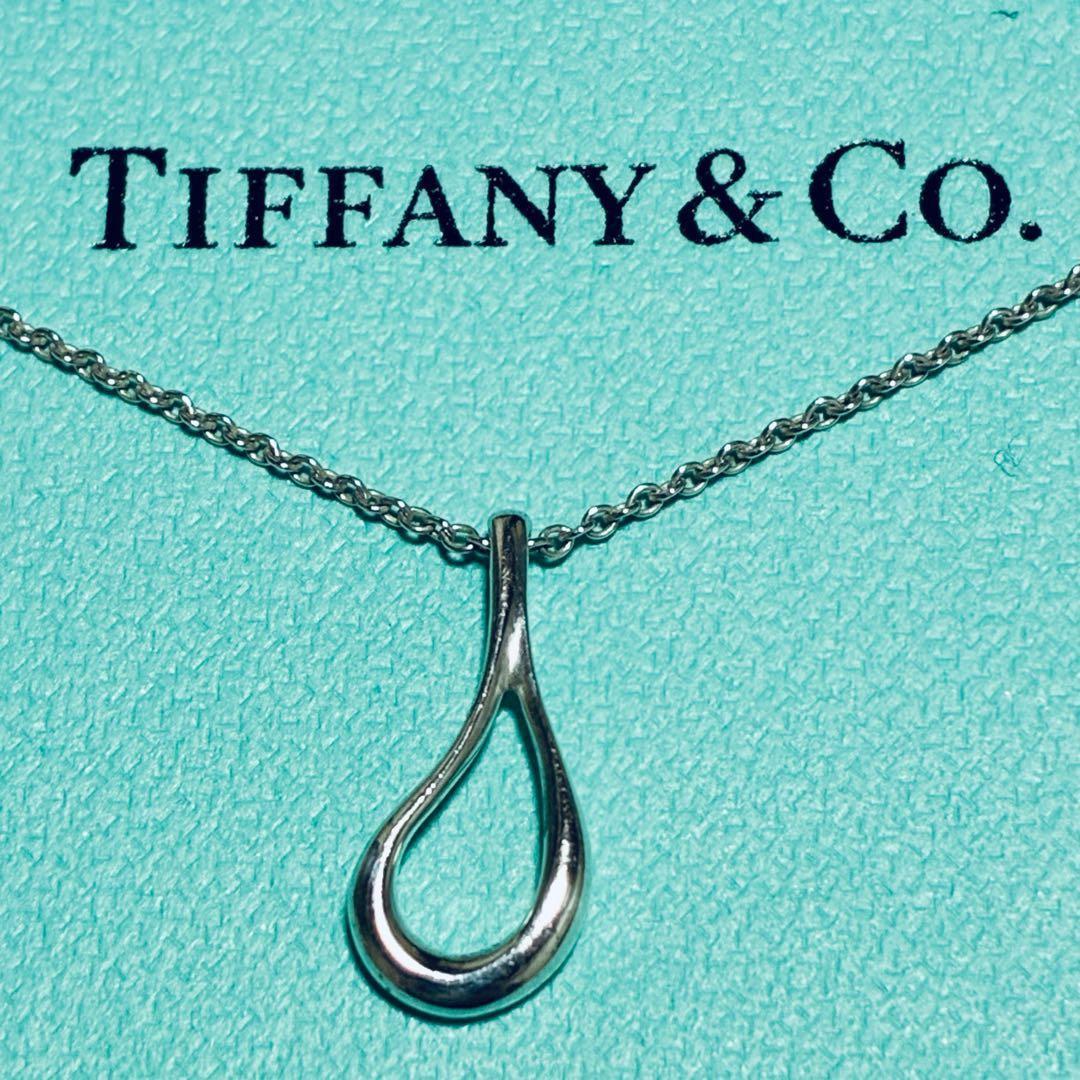Tiffany Necklaces Ag925