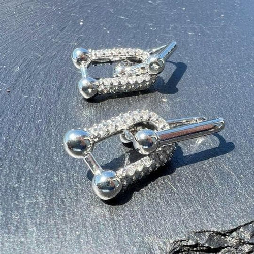 Earrings (For Both Ears) U