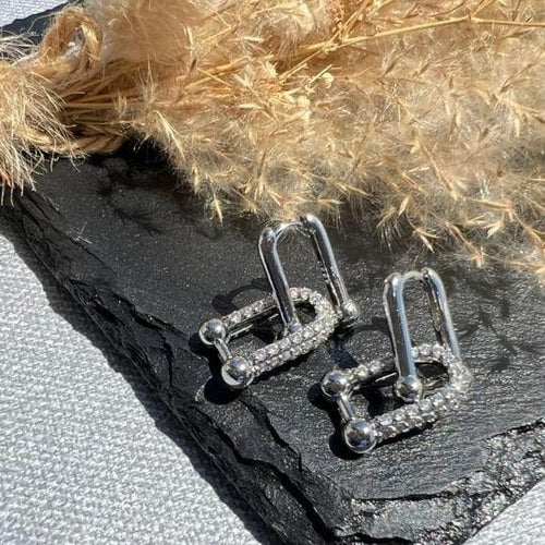 Earrings (For Both Ears) U