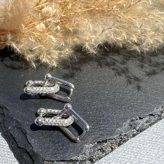 Earrings (For Both Ears) U