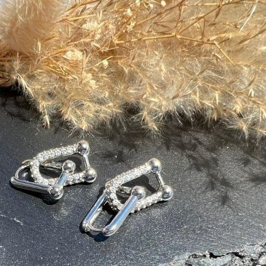 Earrings (For Both Ears) U
