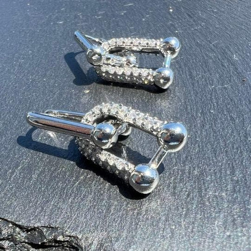 Earrings (For Both Ears) U